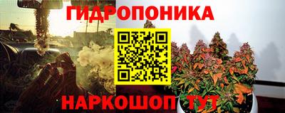 Альфа ПВП Обнинск