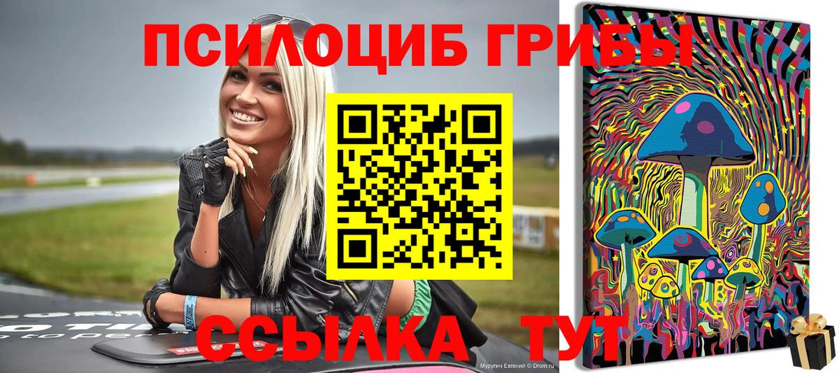 Псилоцибиновые грибы мицелий  Вход с VPN  Сергиев Посад 