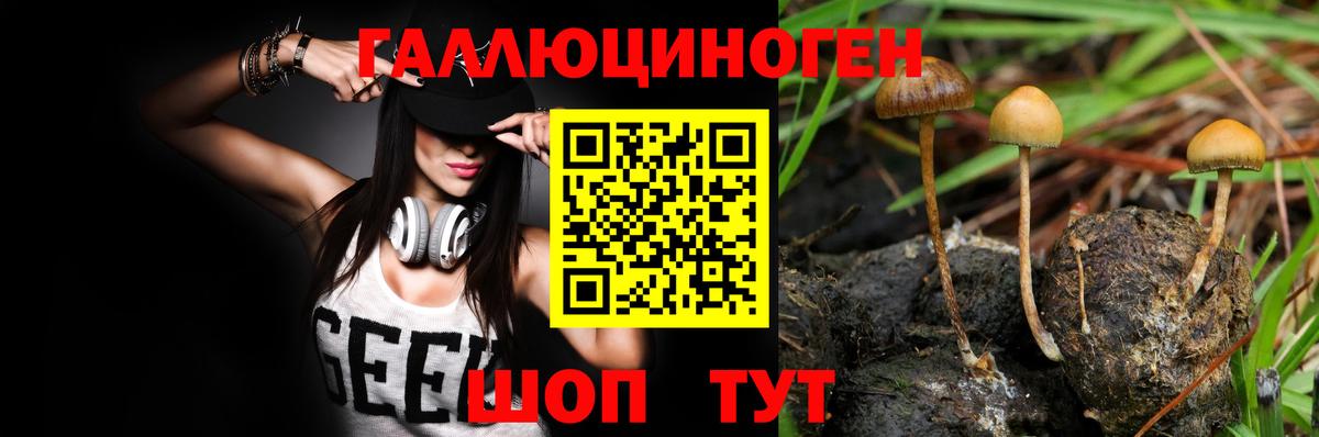 Псилоцибиновые грибы MAGIC MUSHROOMS Сергиев Посад